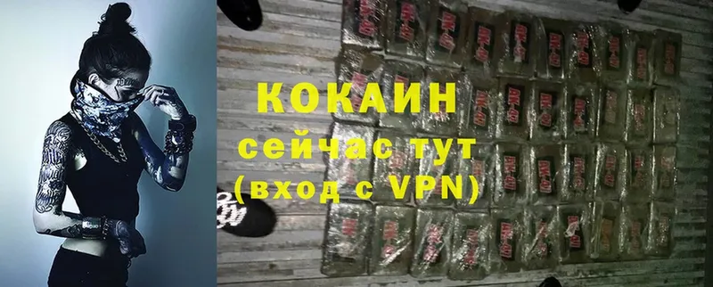 COCAIN Fish Scale  Наволоки 