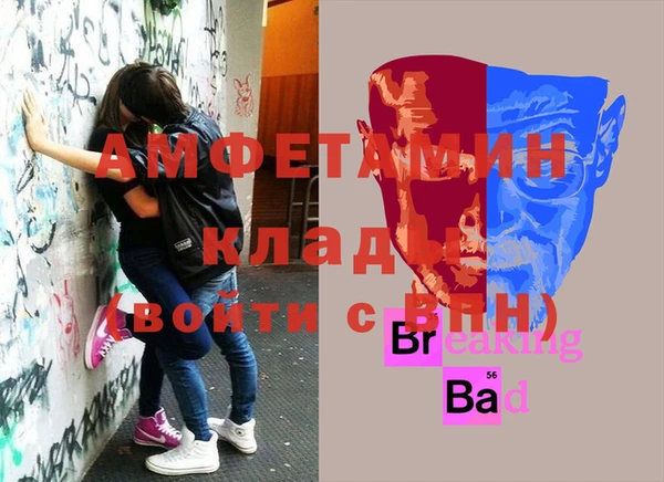 гашиш Богданович